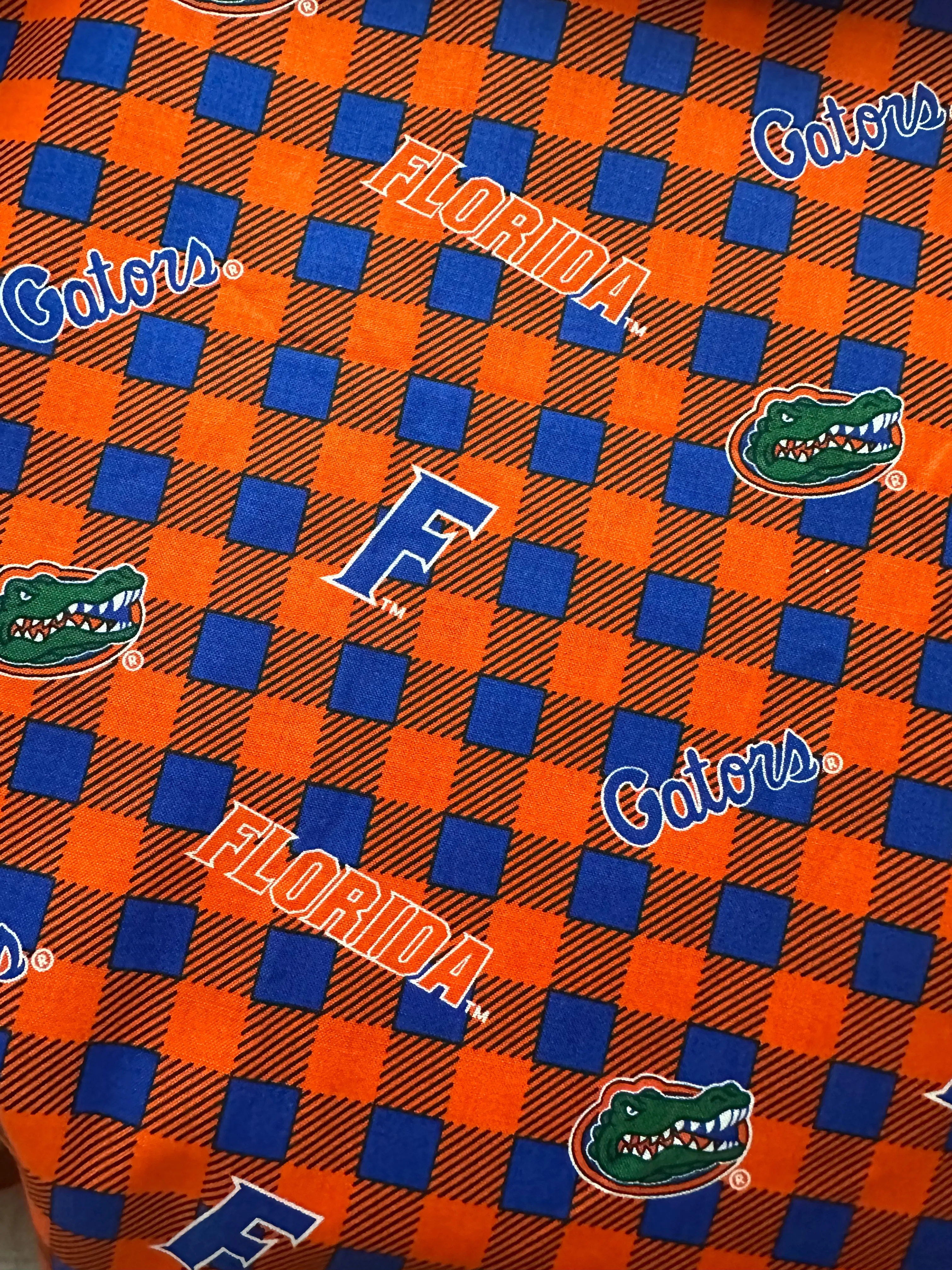 Florida Gators UF Gingham Zipper Bag