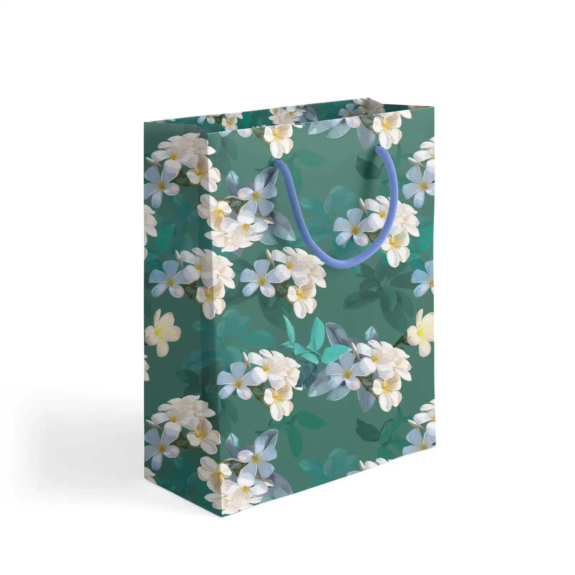 Gift bag (28x44.5cm)