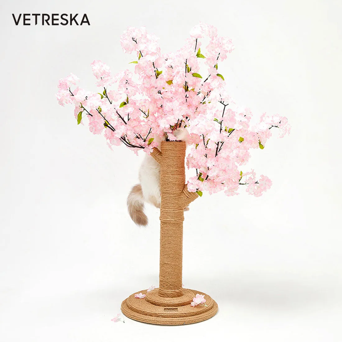 Vetreska Cat Kitten Scratcher Cherry Blossom Tree Climbing Scratching Board Gym